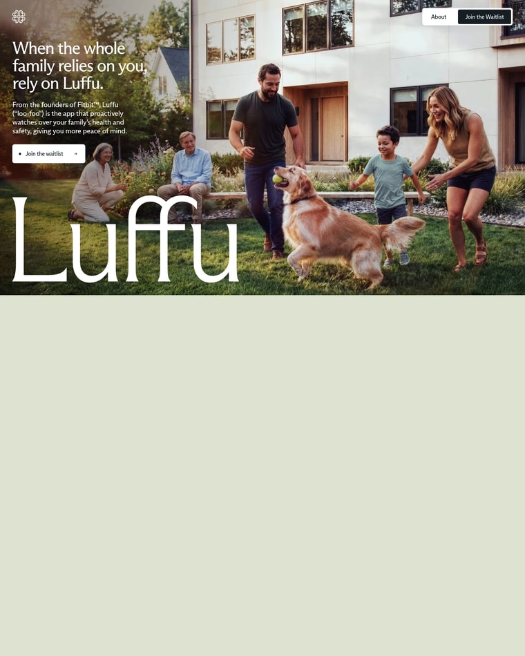 Luffu Landing page (Home Desktop)
